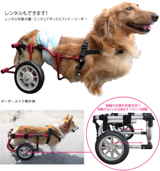 犬の車椅子（オーダーメイド）